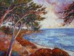 Monterey Cypress by Erin Hanson