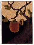 Moon, Persimmon and Moth by Anita Munman