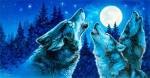 Moon Song by Richard De Wolfe