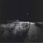 Moonrise by David Fokos