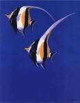 Moorish Idols - Blue by Keith Siddle