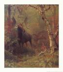 Moose by Albert Bierstadt