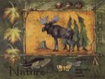 Moose by Anita Phillips