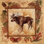 Moose by Anita Phillips
