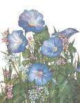 Morning Glories by Dru Bell Byers