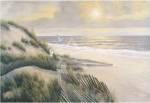 Morning Meditations by Diane Romanello