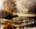 Morning Solace by Irene Weisz
