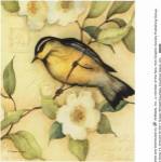 Morning Song 14 by Susan Winget