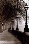 Morning Walk by Michael Trevillion