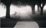 Morning Walk by Irene Miller