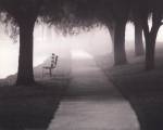 Morning Walk by Irene Miller