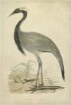 Morris Crane II by Tom Morris