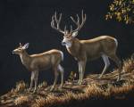 Mule Deer Ridge by Crista Forest