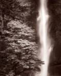 Multnomah Falls by Alan Majchrowicz