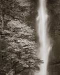 Multnomah Falls by Alan Majchrowicz