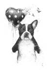 My Heart Goes Boom by Balazs Solti