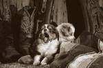 My Hero by Barry Hart