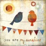 My Sunshine by Mollie B.