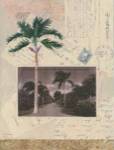 Nassau by Jan Weiss
