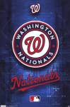 Nationals - Logo 11