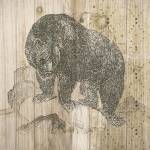 Natural History Lodge IV by Elyse DeNeige