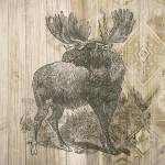 Natural History Lodge VIII by Elyse DeNeige