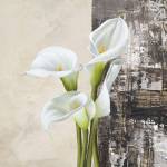Nature II by Jenny Thomlinson