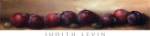 Nature's Bounty I by Judith Levin