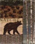 Nature Trail II by Paul Brent