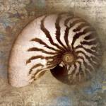 Nautical Beauty by Keith Mallett