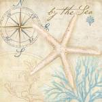 Nautical Shells I by Cynthia Coulter