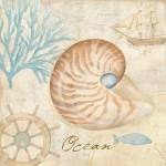 Nautical Shells III by Cynthia Coulter