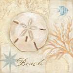 Nautical Shells IV by Cynthia Coulter