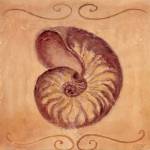 Nautilus by Shari White