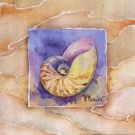Nautilus by Paul Brent