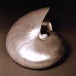 Nautilus I by Mark Baker