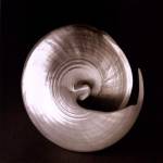 Nautilus II by Mark Baker