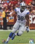 Ndamukong Suh 2013 Action