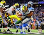 Ndamukong Suh 2013 Action