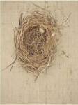 Nesting I by Meghan Mcsweeny