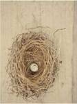 Nesting III by Meghan Mcsweeny