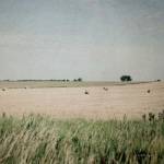 Neutral Country II by Elizabeth Urquhart