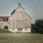 Neutral Country IV by Elizabeth Urquhart
