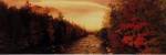 New Hampshire Stream by Peter Adams