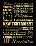 New Testament by Joy House Studios