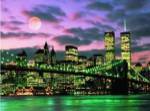 New York City by Tom McCarthy