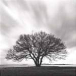 Night Clouds by Michael Kenna
