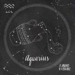 Night Sky Aquarius by Sara Zieve Miller