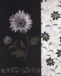 Nikki's Daisy by Vivian Flasch