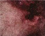 North America Nebula In Cygnus